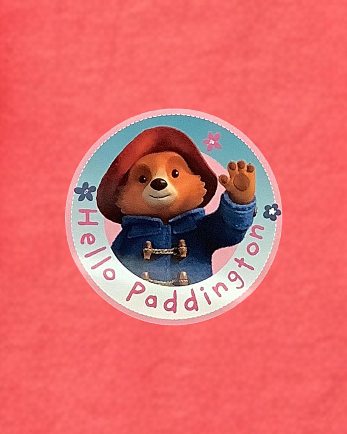 Young Girls Paddington Bear Pyjamas