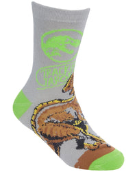 Boys Jurassic World 3 Pack Socks