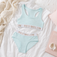 Girls Crop Top and Knicker Set