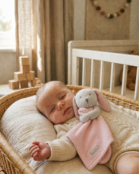 Babytown Soft Animal Comforter