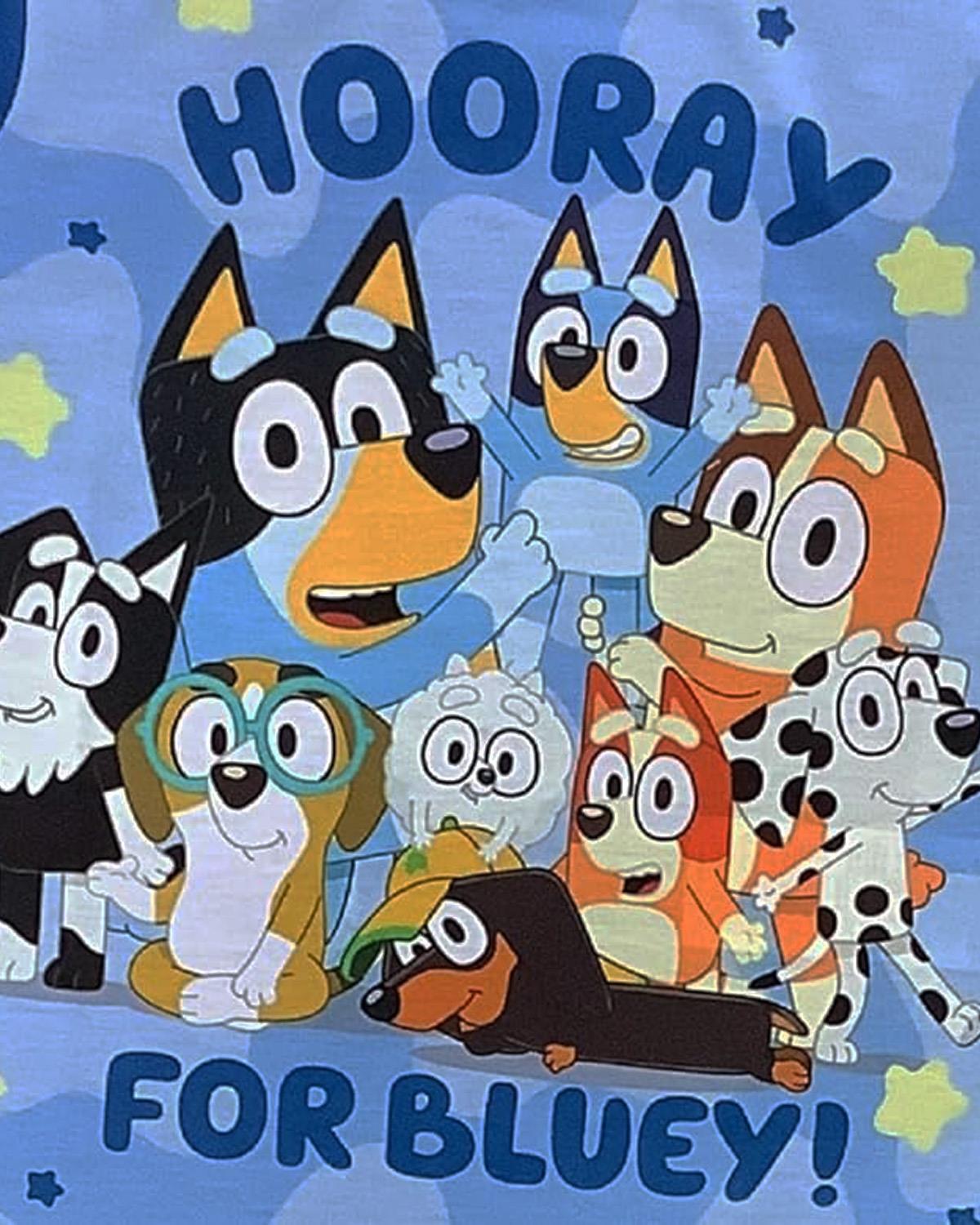 Young Boys Bluey Hooray Pyjamas