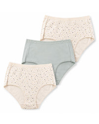 Anucci Womens Lace Trim Full Briefs