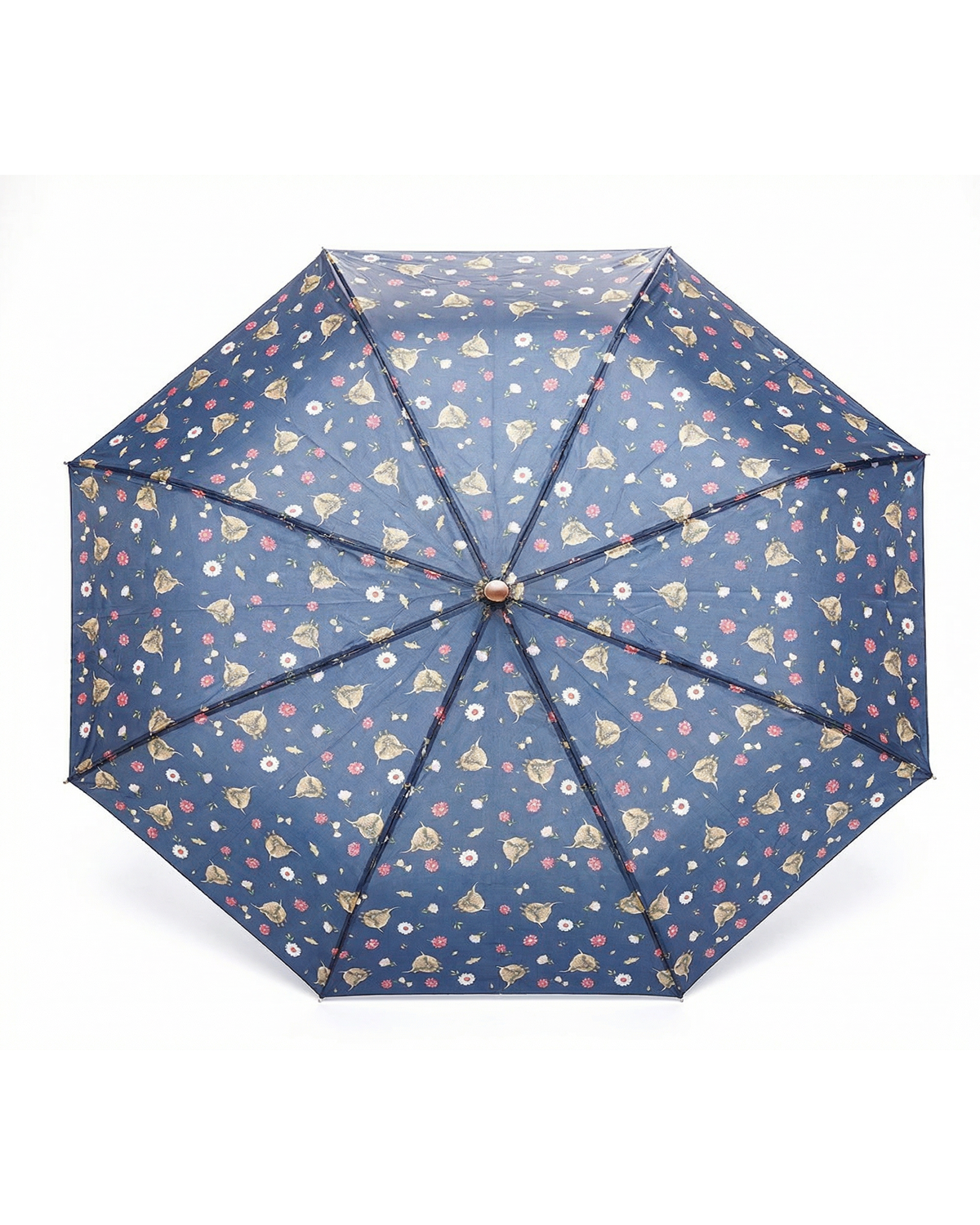 Drizzles Supermini Umbrella