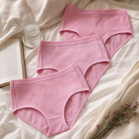 Anucci Womens Lace Trim Full Briefs