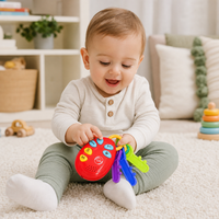 My First Baby Sensory Activity Toys