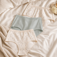 Anucci Womens Lace Trim Full Briefs